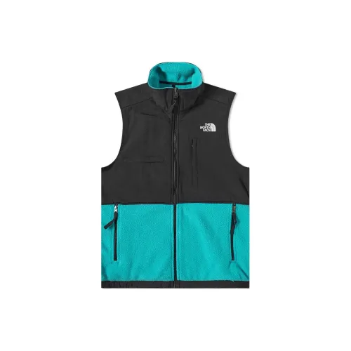 THE NORTH FACE DENALI Vests Men Blue