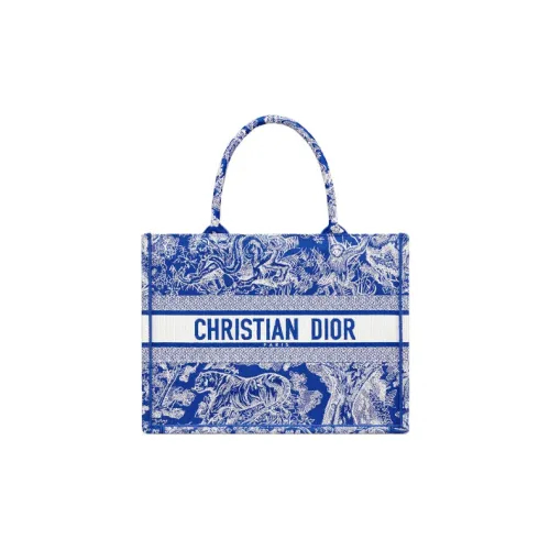 DIOR BookTote Handbags