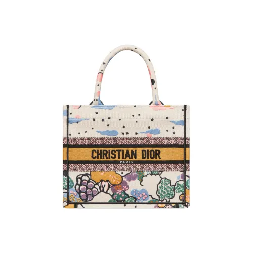 DIOR BookTote Handbags