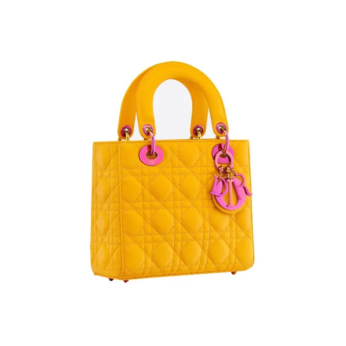 DIOR Lady DIOR Handbags-1