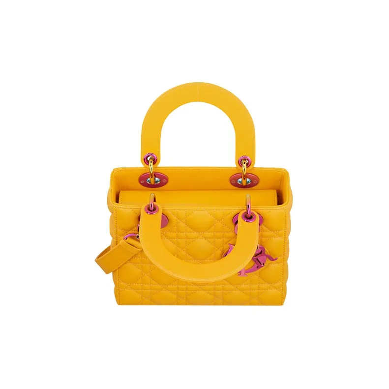 DIOR Lady DIOR Handbags-2