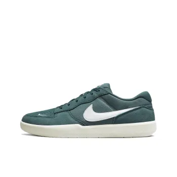 Nike Sb Force 58 Ash Green