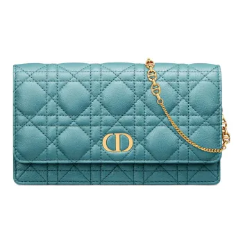 DIOR Caro Clutches