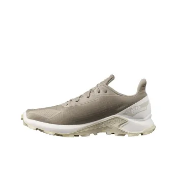 SALOMON CROSS Alphacross Blast GORE-TEX Anti-Slip Wear-Resistant Low-Top Outdoor Shoes Brown