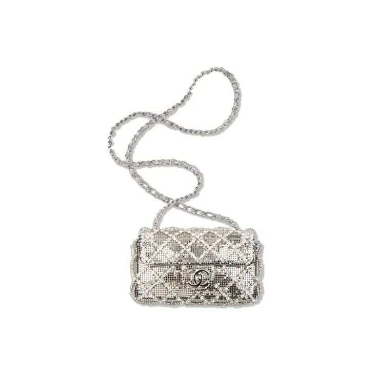 CHANEL Embroidered Rhinestone And Silver Metal Flap Bag, Crossbody Bag, Shoulder Bag Mini Women's Silver-0