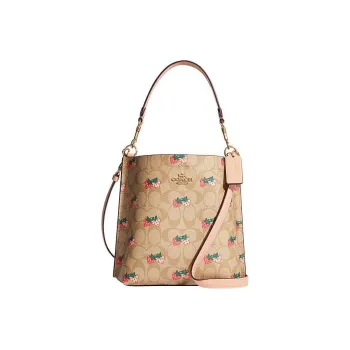 COACH Mollie Canvas With Smooth Leather Bucket Bags Shoulder Bag Crossbody Bag Small Size Women's Brown