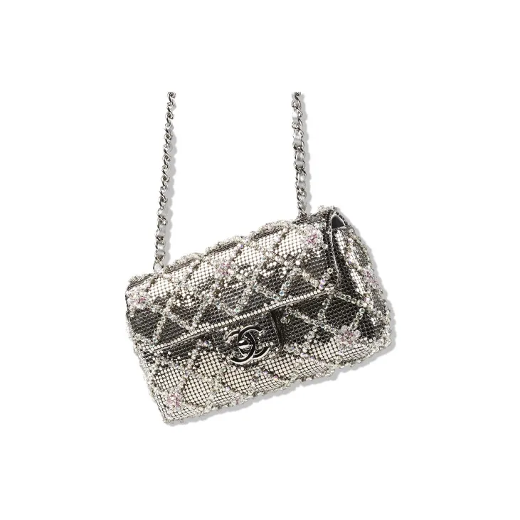 CHANEL Embroidered Rhinestone And Silver Metal Flap Bag, Crossbody Bag, Shoulder Bag Mini Women's Silver-2