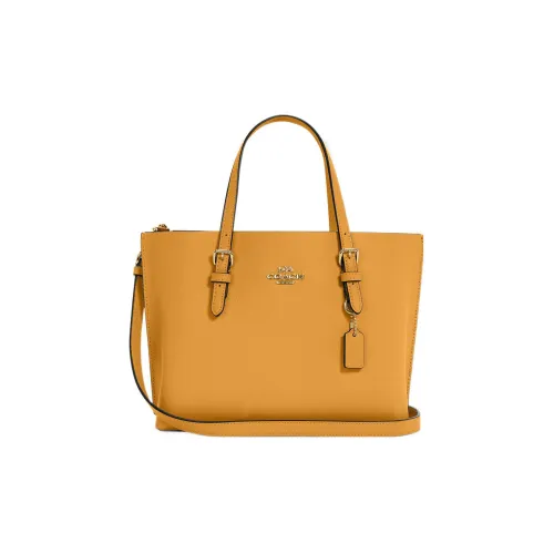 COACH Mollie Leather One Shoulder Handbag Crossbody Bag Medium Size Women's Yellow