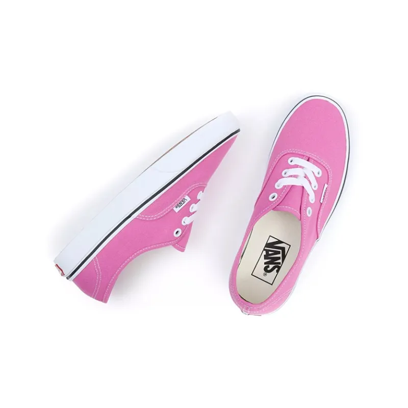 Authentic Vans 'Color Theory Fiji Flower'-3