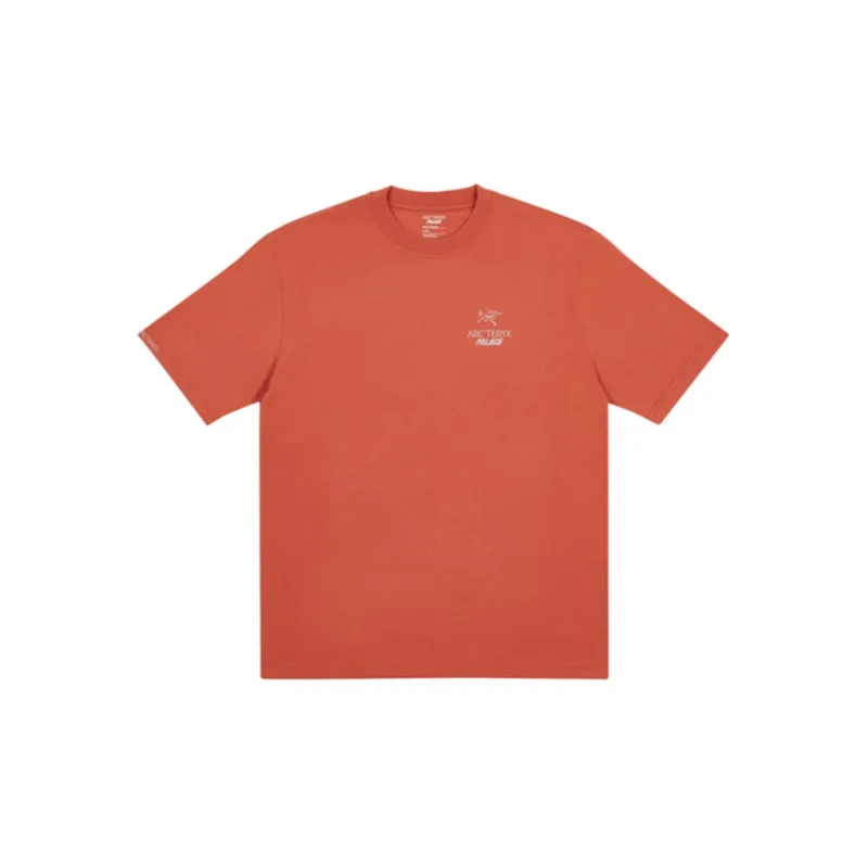 Palace X Arc'teryx T Shirt-3