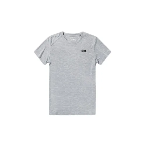 THE NORTH FACE City Landmark T-Shirts Men Gray