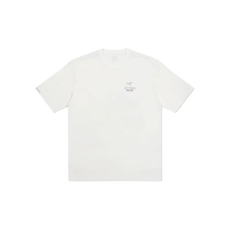 Palace X Arc'teryx T Shirt-9