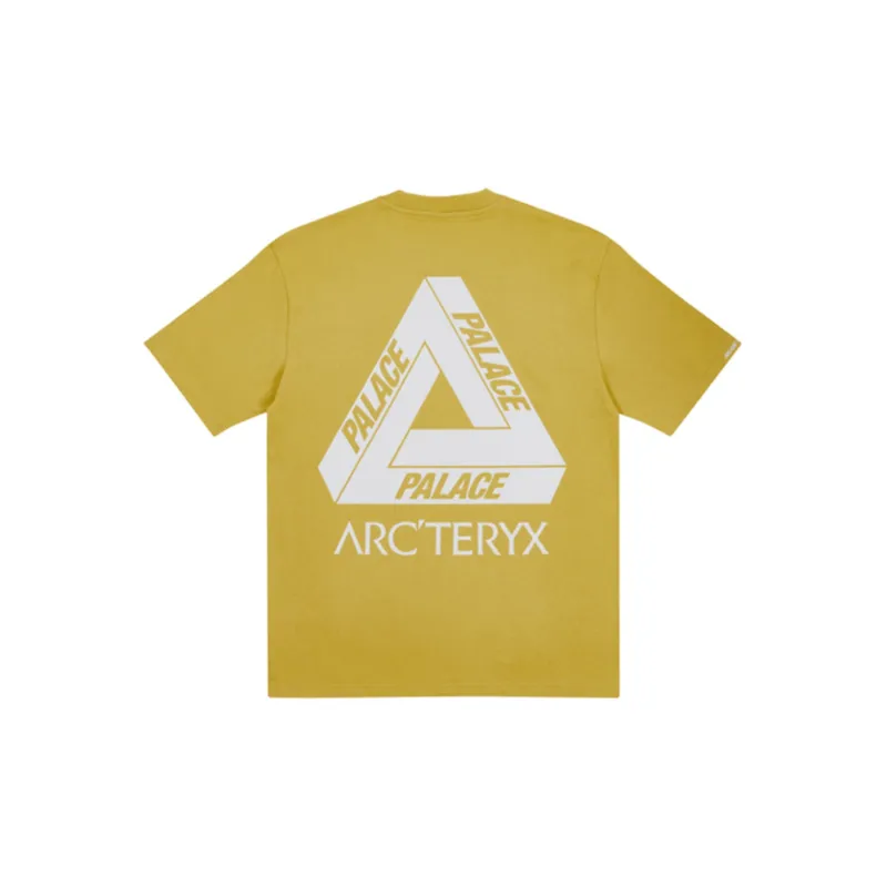 Palace X Arc'teryx T Shirt-5