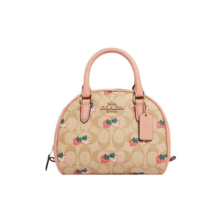 COACH Sydney Handbags-0