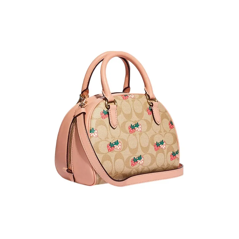 COACH Sydney Handbags-1
