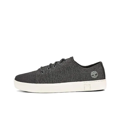 Timberland Skateboard Shoes Men Low-Top