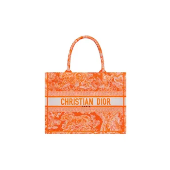 DIOR BookTote Handbags