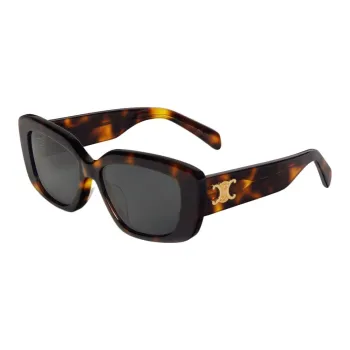CELINE Triomphe 04 Sunglasses In Acetate