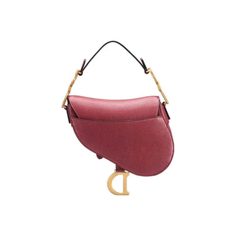 DIOR Saddle Handbags-1