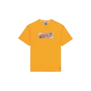 Dickies SS22 T Shirt Men's Bright Orange