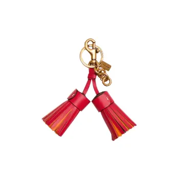 COACH Bag Accessory Bag Charm Keychain Women's Rainbow