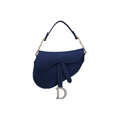 DIOR Saddle Shoulder Bags