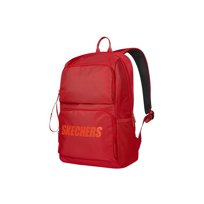 Buy Skechers Unisex BAGPACK WITH THREE COMPARTMENT - Grey at Amazon.in