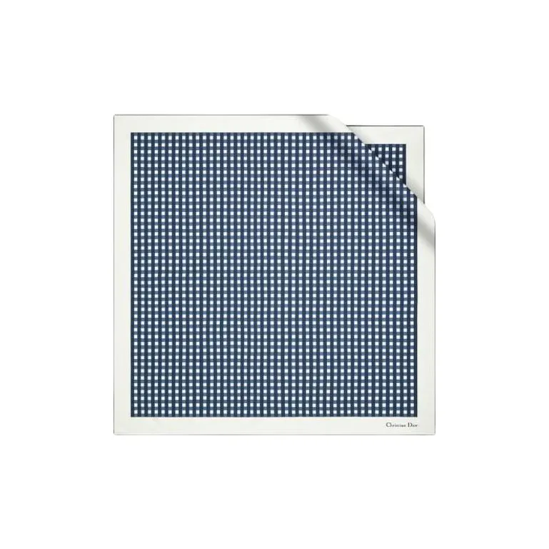DIOR Silk Scarves Women's Marine Blue/White-0