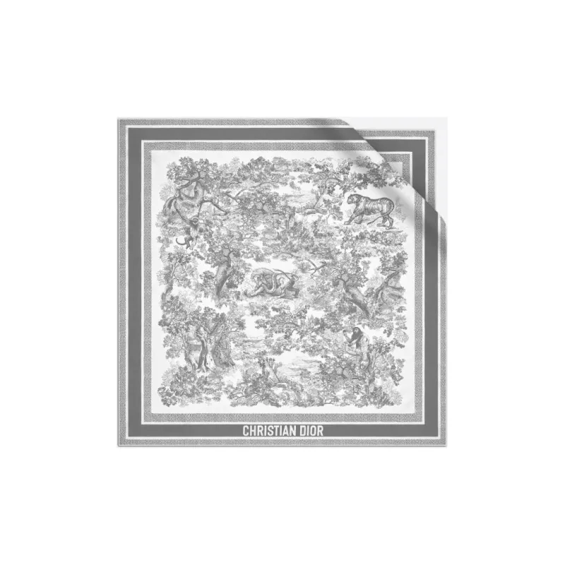 DIOR Silk Scarf Women's Ivory/Gray-0