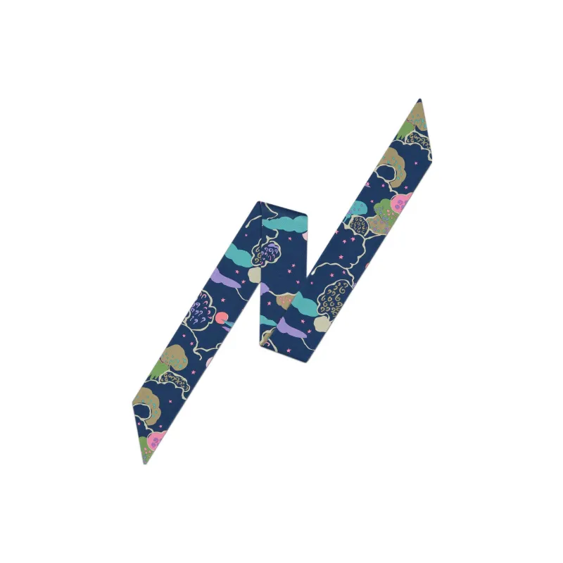DIOR Silk Scarves Women's Navy Blue-0