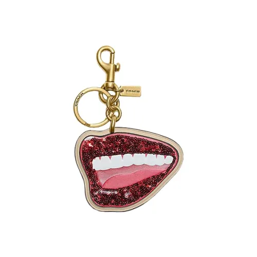 COACH Bag Charm Cow Leather Bag Accessory Small Size Women's Multicolor