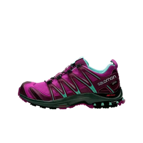 SALOMON XA PRO 3D Hiking / Trekking Shoes Women's Low-Top Purple