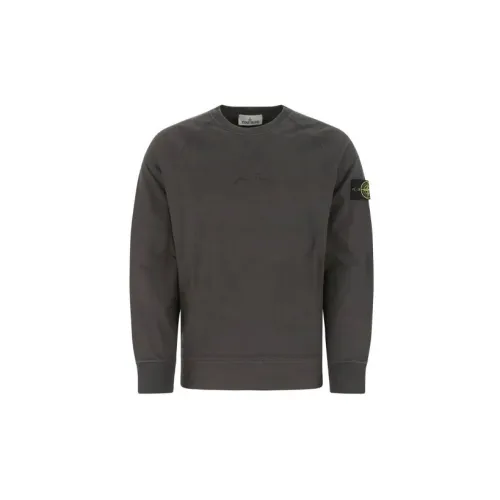 STONE ISLAND 40Th Anniversary Collection Sweatshirts Men Brown