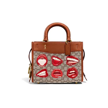 Tom X COACH Rogue Handbags