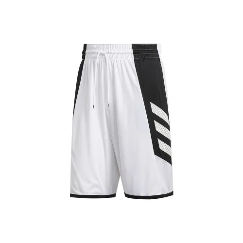 Adidas Basketball Shorts Men White