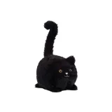 Black Kitten