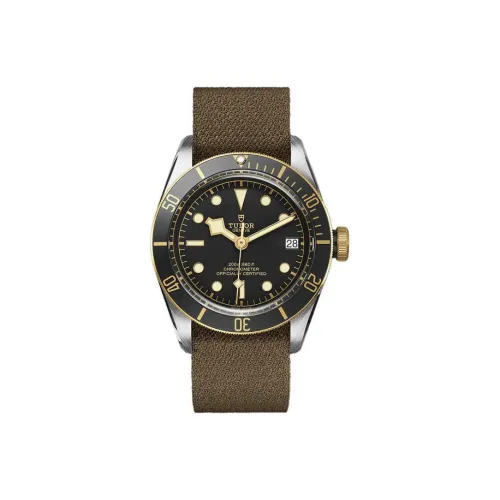 TUDOR Men BLACK BAY Collection Swiss Watches