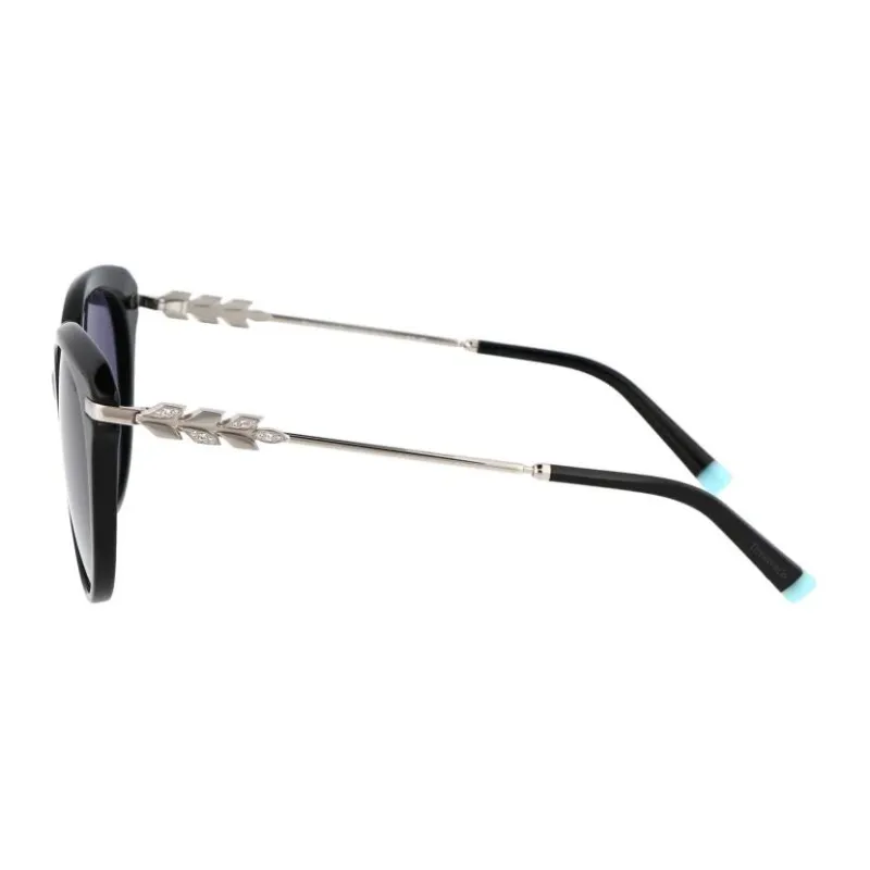 TIFFANY & CO. Victoria ™ Collection Sunglasses Unisex Black-2