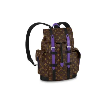 LOUIS VUITTON CHRISTOPHER Canvas With Leather Backpack Small Size Men's Brown/Purple