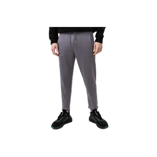 Calvin Klein Knitted Sweatpants Men Gray