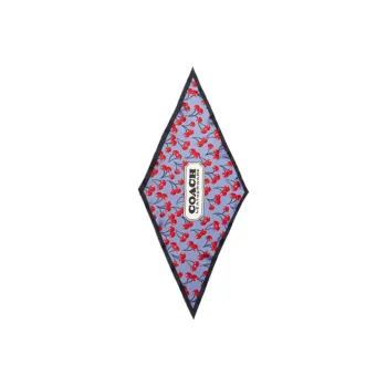 COACH Silk Scarf Women's Multicolor