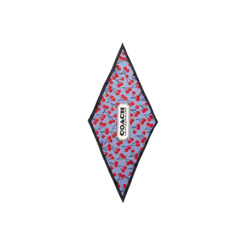 COACH Silk Scarf Women's Multicolor-0