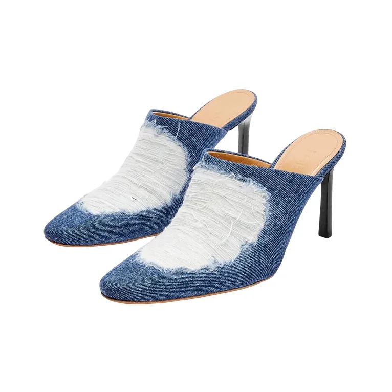 LOEWE Slim Heel High Heels Women's Blue-1