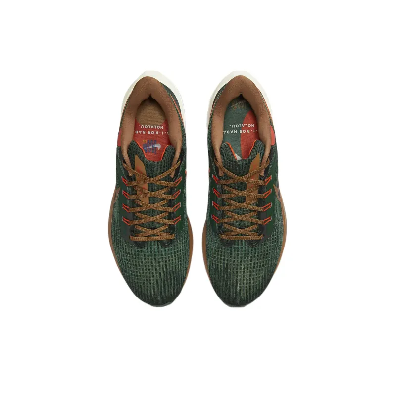 Nike Air Zoom Pegasus 39 A.I.R. Hola Lou-3
