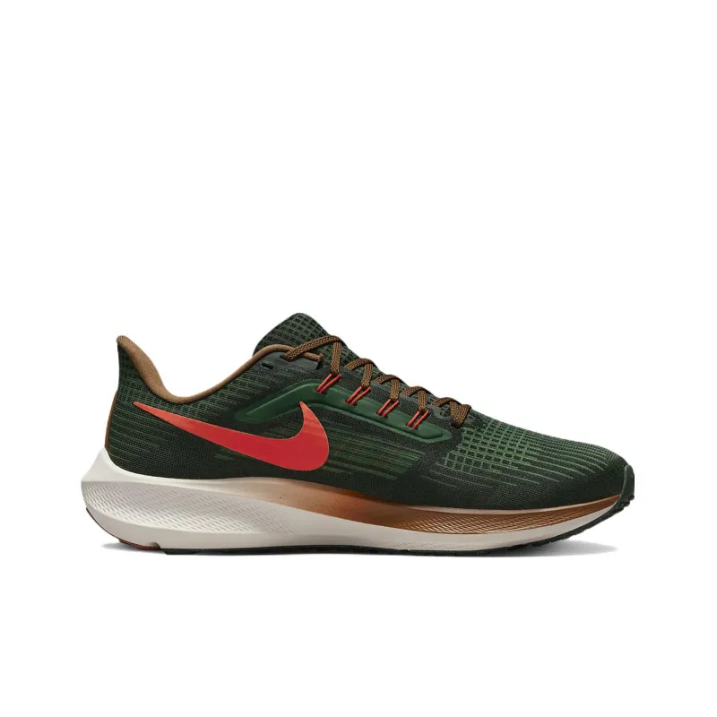 Nike Air Zoom Pegasus 39 A.I.R. Hola Lou-1