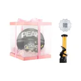 Pink, Gift Box Set, Black Silver+Pump