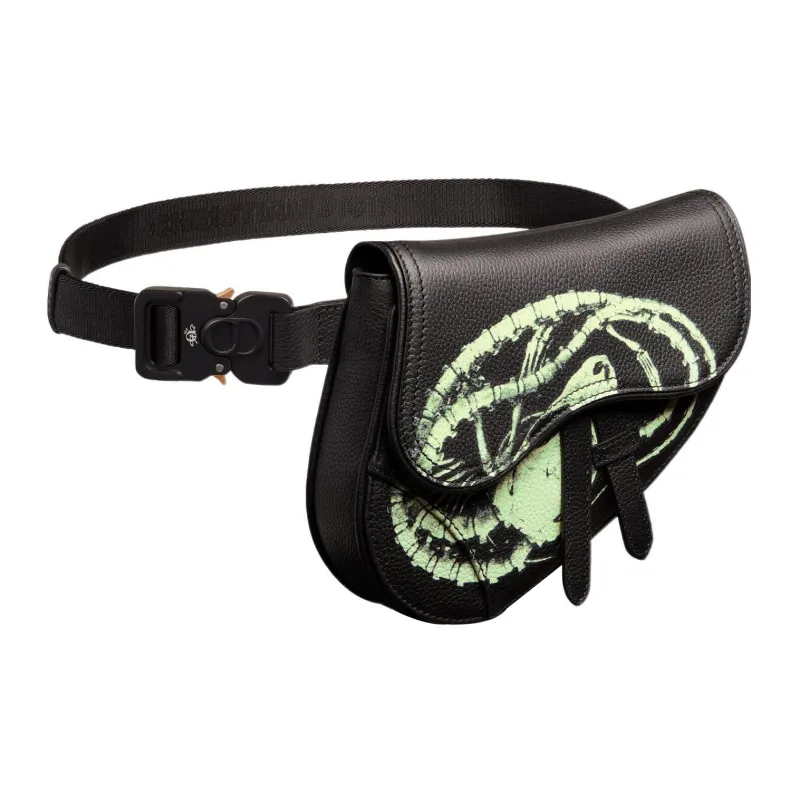 DIOR Fanny Packs-1
