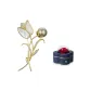 Gold Four-Leaf Clover Box