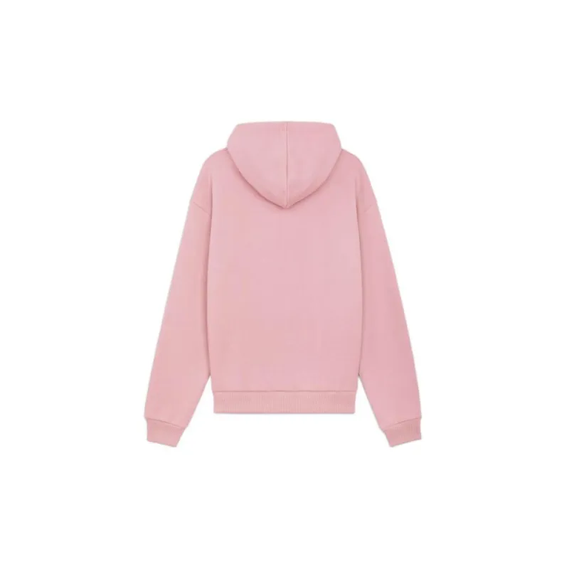 CELINE FW22 Sweatshirt Men's Pink-1