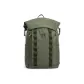 Pine Tea Green
